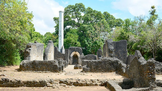 Mnarani ruins