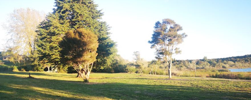 Ash Pit Road Campsite