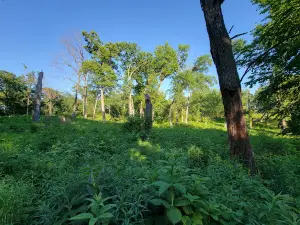 Prairie Moraine County Park