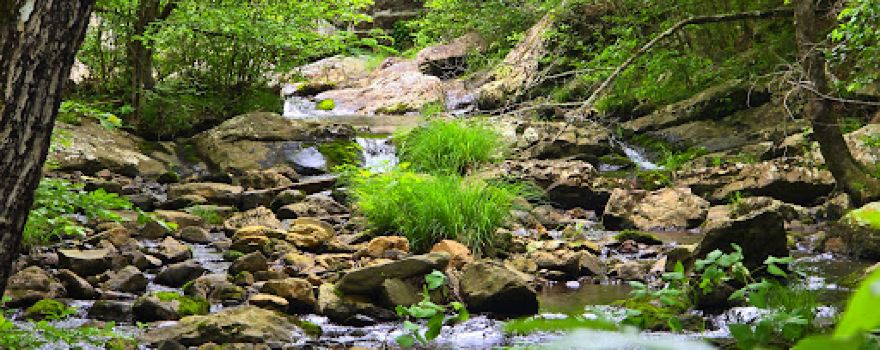 Fancy Hill Falls