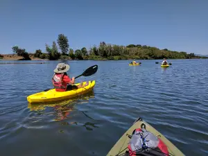 Peoria Park