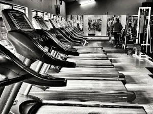 Fitness Factory