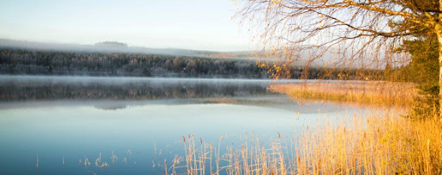 Skandi Camp