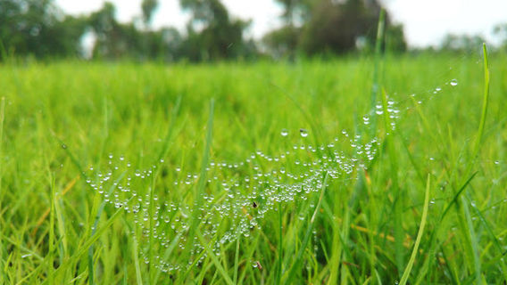 Taqa Public Park