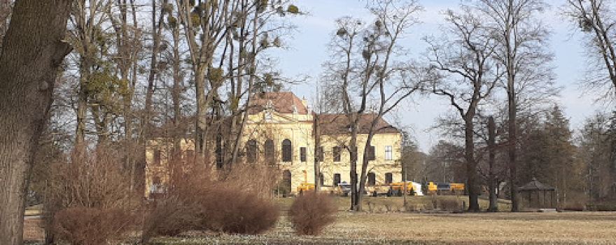 Der große Holzigel