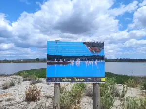 Dune di Torre Colimena