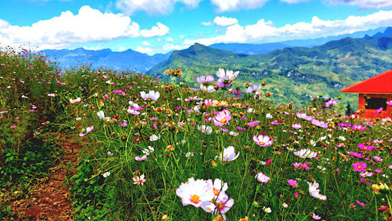 Cột Cờ (Mù Là)