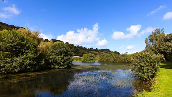 Newberry Valley Touring and Camping Park