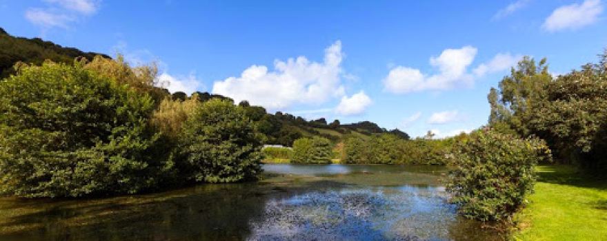 Newberry Valley Touring and Camping Park