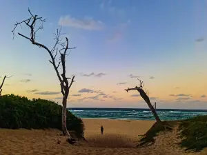 Jesser Point