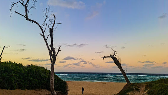 Jesser Point