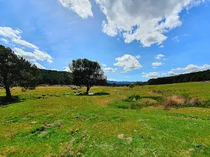 Camping Navagredos