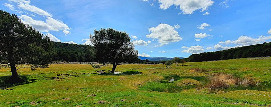 Camping Navagredos