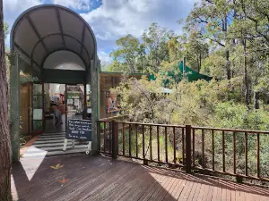 Forest Discovery Centre