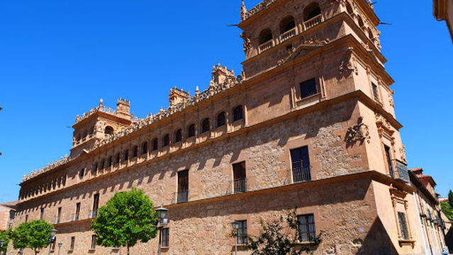 Salamanca Visitas Guiadas- Visitas Plaza
