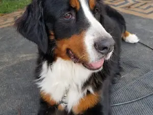 The Junction Music Park