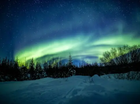 Discover Churchill Photo Gallery