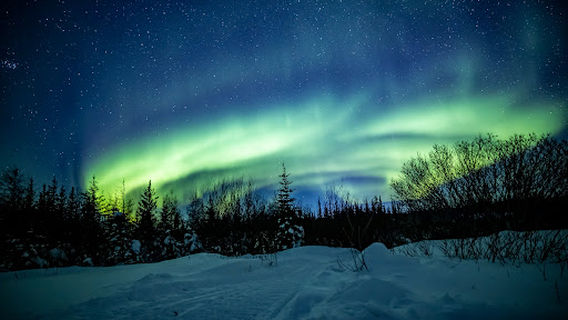 Discover Churchill Photo Gallery