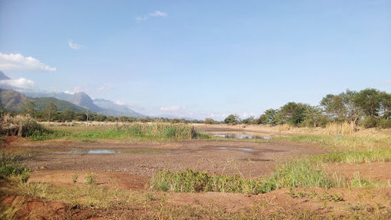 SUA university Botanic Garden