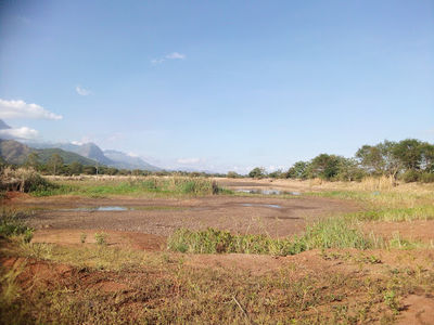 SUA university Botanic Garden