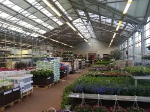Plantasjen