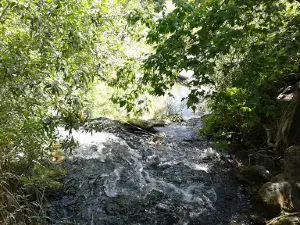 Davidson Park