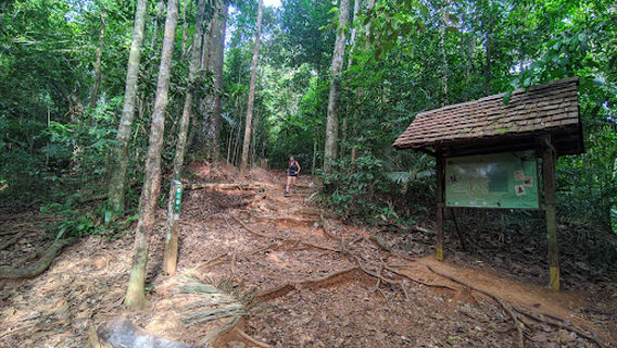 Sentier de Lamirande