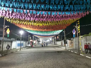 Parque Sumauma