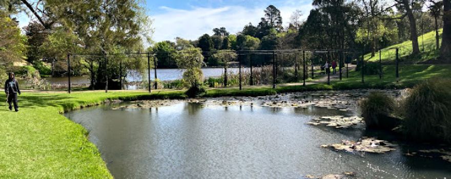 Virginia Lake Aviary