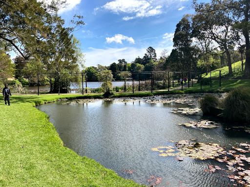 Virginia Lake Aviary