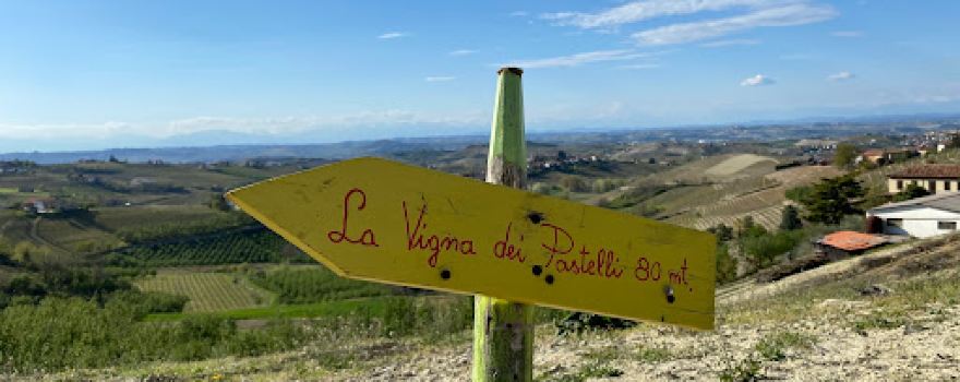 La Vigna dei Pastelli