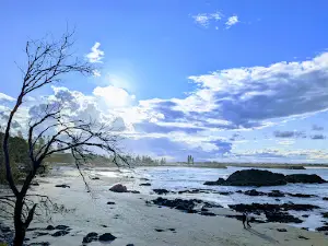 Macquarie Nature Reserve