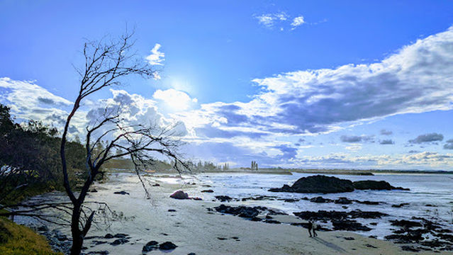 Macquarie Nature Reserve