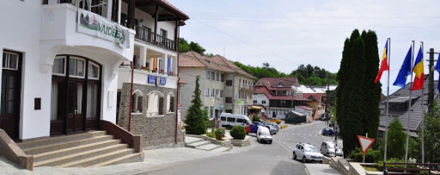 Camin Cultural Vaideeni