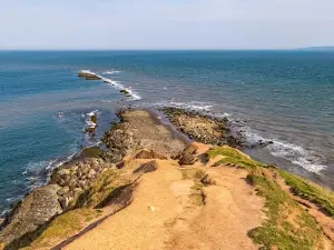 Filey Brigg Country Park