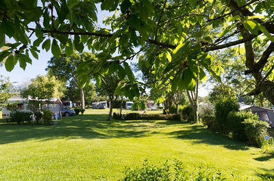 Camping Le Frêche à L'âne Côtes d'ar