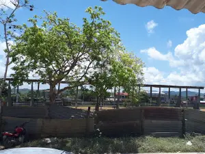 Estadio Olimpico Melchor De Mencos