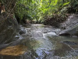 Kawa-kawa sa Awog