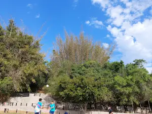 Camping Don Vallejo