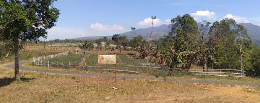 Bumi Perkemahan Dayeuh Luhur