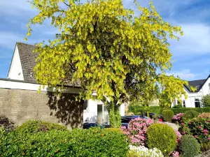 Birkmyre Park