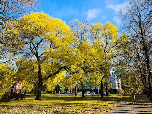 Central Park