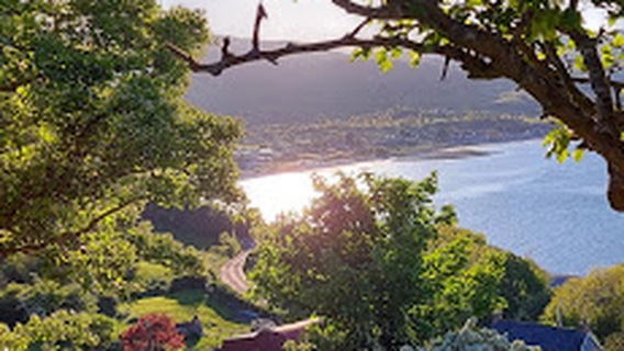Straidkilly Nature Reserve