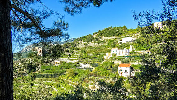 Percorso dei limoni