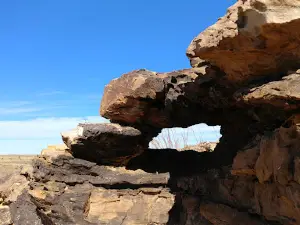 Comanche National Grassland