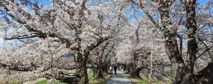 Yodogawa River Park