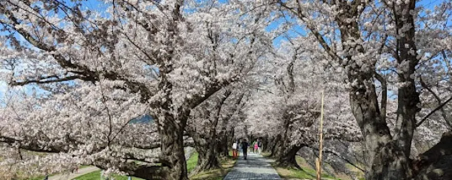 Yodogawa River Park