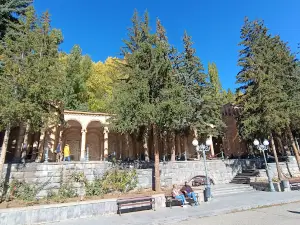 Gallery of water