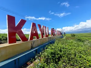 Kebun Teh Kayu Aro