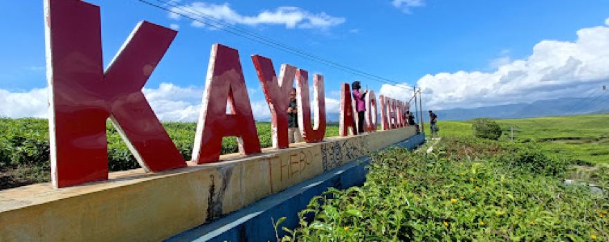 Kebun Teh Kayu Aro